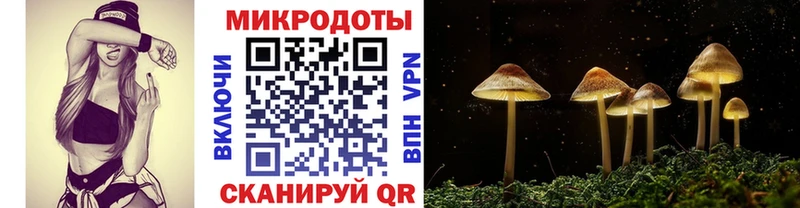Галлюциногенные грибы прущие грибы  купить наркоту  Петрозаводск 